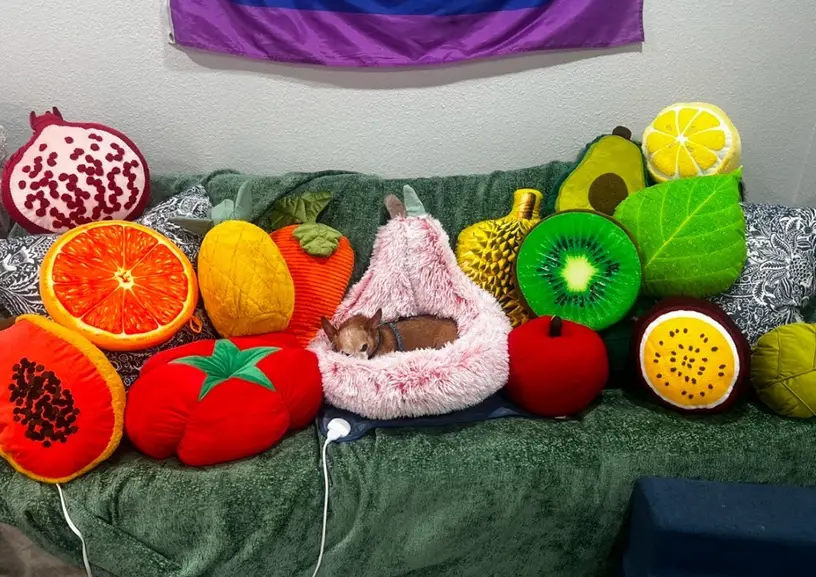 Fruit-Shaped Plush Pillows